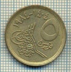 8428 MONEDA- EGYPT - 5 PIASTRES -anul 1984 -starea ce se vede