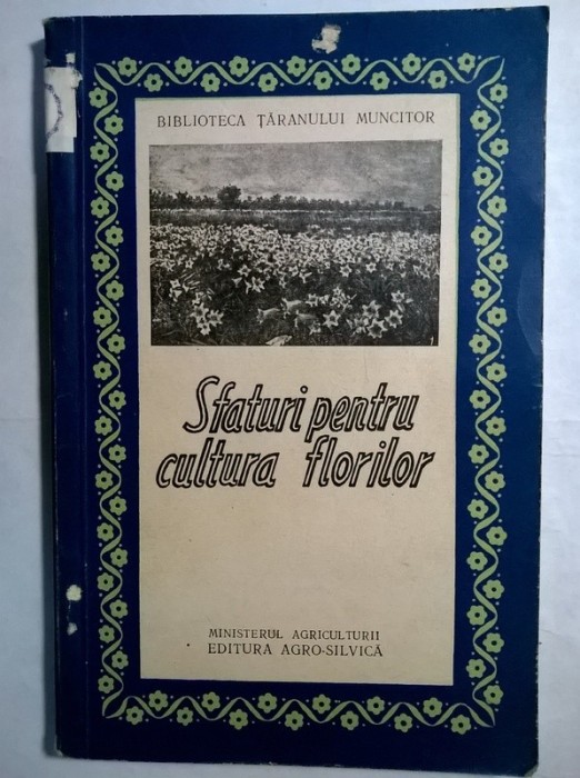 Sfaturi pentru cultura florilor foto mare Sfaturi pentru cultura florilor foto mare
