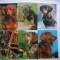 CARTE POSTALA, CAINI. LOT DE 6 BUC.