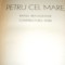 Petru cel Mare - N.Popov