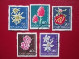 TIMBRE ROMANIA LOT STAMPILAT