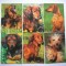 CARTE POSTALA, CAINI. LOT DE 6 BUC.