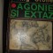 Agonie si extaz -Irving Stone