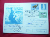 Carte Postala ilustrata - Acvila cu stampila speciala si timbru , cod 0136/75, Necirculata, Printata