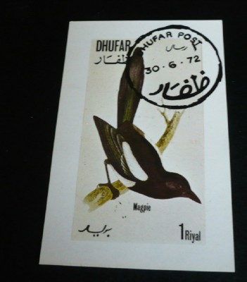 DHUFAR (OMAN) 1972 &amp;ndash; PASARE CANTATOARE colita NDT stampilata, A3 foto