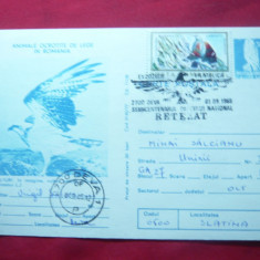 Carte Postala ilustrata -Vulturi cu stampila speciala si timbru , cod 140/77