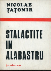 LICHIDARE-Stalactite in alabastru - Autor : Nicolae Tatomir - 75723 foto