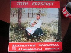 vinil toth erzsebet foto