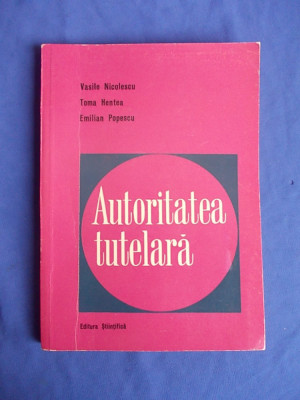 VASILE NICOLESCU - AUTORITATEA TUTELARA - 1965 + foto