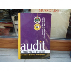 AUDIT CONCEPTE SI PRACTICI ABORDARE NATIONALA SI INTERNATIONALA , LAURENTIU DOBROTEANU foto