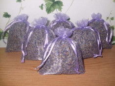 saculeti lavanda satin foto