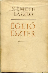 LICHIDARE-Egeto Eszter - Autor : Nemeth Laszlo - 75443 foto