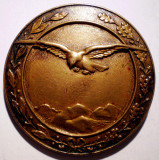 I.620 AUSTRIA WWI INSIGNA AVIATIE ESTIMATOR ARTILERIE RECUNOASTERE 45mm, Europa