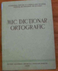 LICHIDARE-Mic dictionar ortografic - Autor : - - 72925 foto
