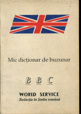 LICHIDARE-Mic dictionar de buzunar- world service - Autor : - - 113087 foto