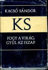 LICHIDARE-Fogy a virag, gyul az iszap - Autor : Kacso Sandor - 75482 foto