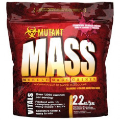 Mutant Mass 2.2 kg foto