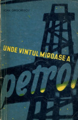 LICHIDARE-Unde vantul miroase a petrol - Autor : Ioan Grigorescu - 84278 foto