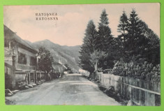 Rastolita - Mures foto