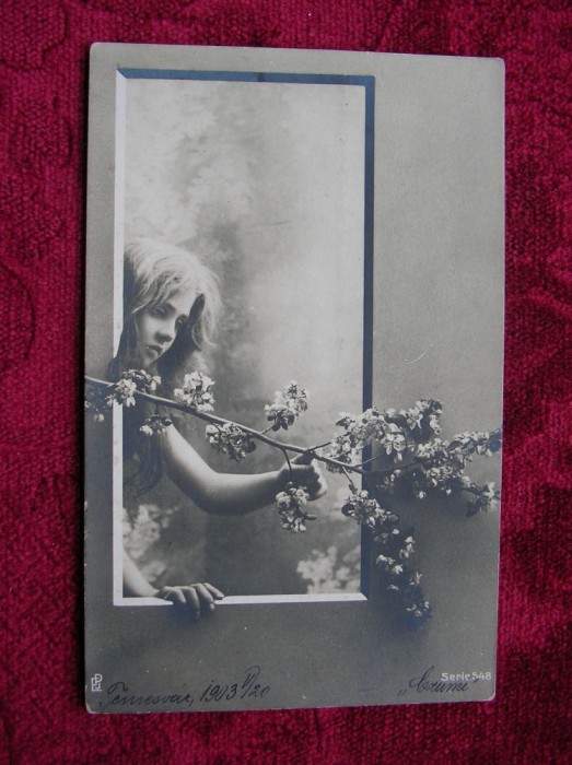 CARTE POSTALA CIRCULATA TIMISOARA 1903