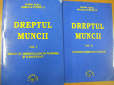 Dreptul muncii 2 volume jurisprudenta romana si europeana conventii 2001 foto