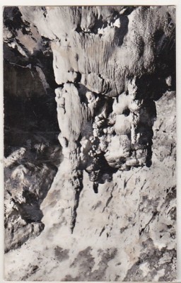 bnk cp Muntii Apuseni - Pestera Scarisoara - circulata foto