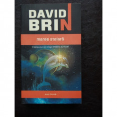 David Brin - Mareea stelara foto