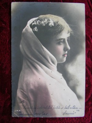 CARTE POSTALA CIRCULATA TIMISOARA 1903 foto