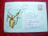 Plic ilustrat Fauna -Pasari , cod 34/67