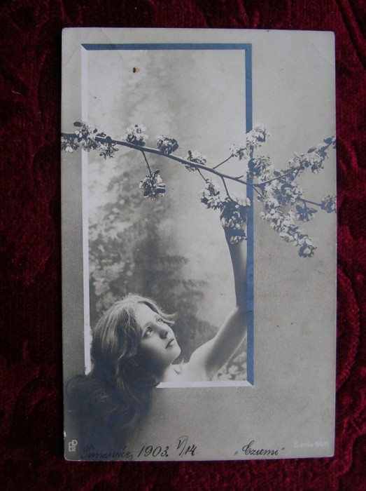 CARTE POSTALA CIRCULATA TIMISOARA 1903