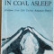 LIKE DIAMONDS IN COAL ASLEEP: SELECTIONS FROM 20TH CENTURY ROMANIAN POETRY(1985)