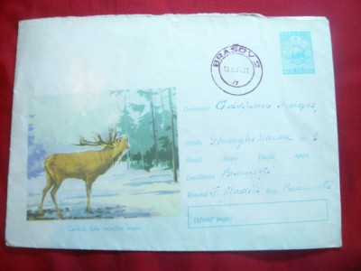 Plic ilustrat Fauna - Cerbul Carpatin ,cod 48/1964 foto