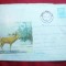 Plic ilustrat Fauna - Cerbul Carpatin ,cod 48/1964