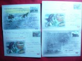 Lot de 6 Plicuri Ilustrate Tematica - Fauna - Balene