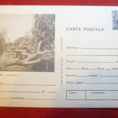 Carte Postala ilustrata Buzau - Helesteu cod 198/75