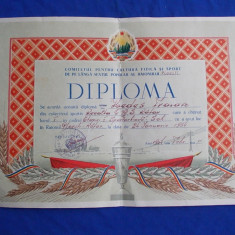 DIPLOMA * SPARTACHIADA SAH - COMITETUL CULTURA FIZICA _REGIUNEA PLOESTI - 1954