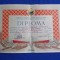 DIPLOMA * SPARTACHIADA SAH - COMITETUL CULTURA FIZICA _REGIUNEA PLOESTI - 1954