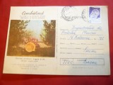 Carte Postala ilustrata Combaterea Daunatorilor cod 9511/1985, Circulata, Printata