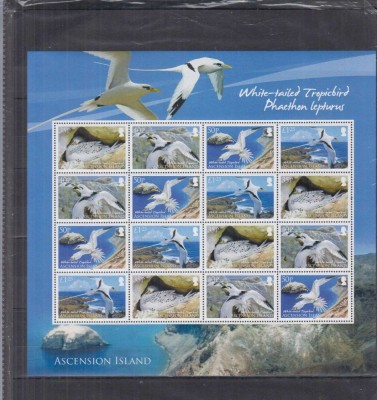 ASCENSION ISLANDS 2009 PASARI foto