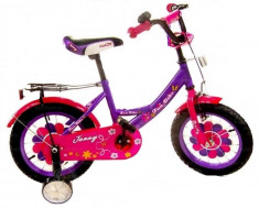 Bicicleta pentru fetite-Baby Mix R-777G-12 foto
