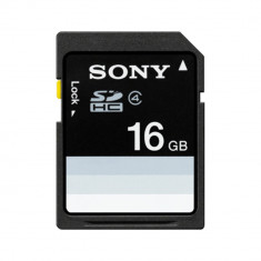 Card Sony SDHC SF16N4 16 GB Class 4 foto