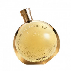 Hermes L Ambre Des Merveilles Apa de Parfum 100ml, Femei foto