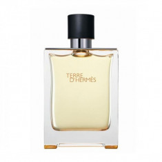 Hermes Terre Apa de Toaleta 200ml, Barbati foto