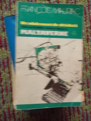 UN ADOLESCENT DE ALTADATA -MALTAVERNE foto