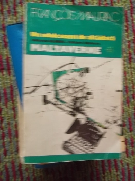 UN ADOLESCENT DE ALTADATA -MALTAVERNE
