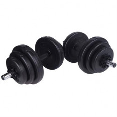 Set gantere 20 kg (2x10 kg) foto