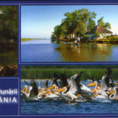 Carte postala necirculata - Romania - Delta Dunarii -