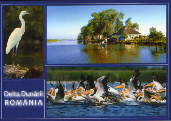 Carte postala necirculata - Romania - Delta Dunarii -