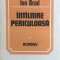 INTALNIRE PERICULOASA - Ion Brad