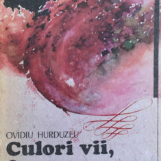 CULORI VII, FORME FRUMOASE... - Ovidiu Hurduzeu